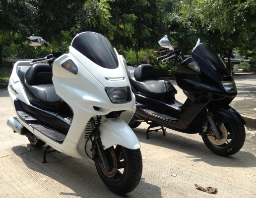 หลุดจองครับหลุดแล้วหลุดอีกหลุดเป็นคลิปวีดีโอเลย Yamaha Majesty250