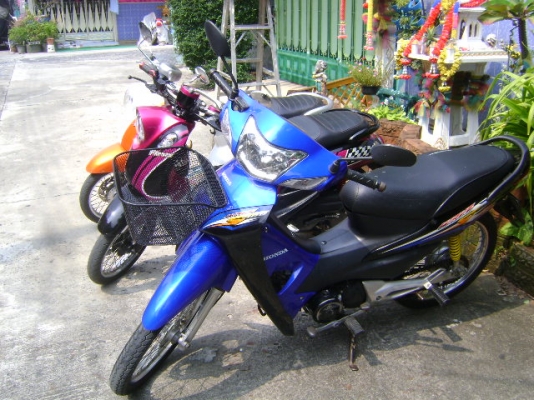 เหมา3คัน Fino 2คัน Wave 1คัน รถเดิมๆ