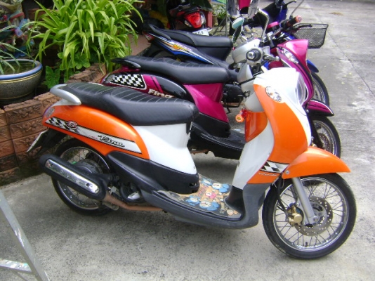 เหมา3คัน Fino 2คัน Wave 1คัน รถเดิมๆ