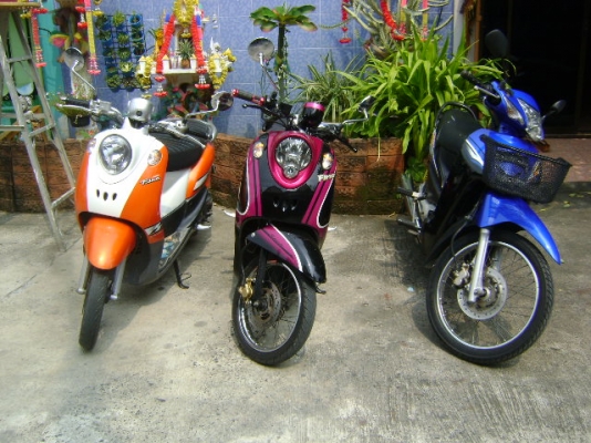 เหมา3คัน Fino 2คัน Wave 1คัน รถเดิมๆ