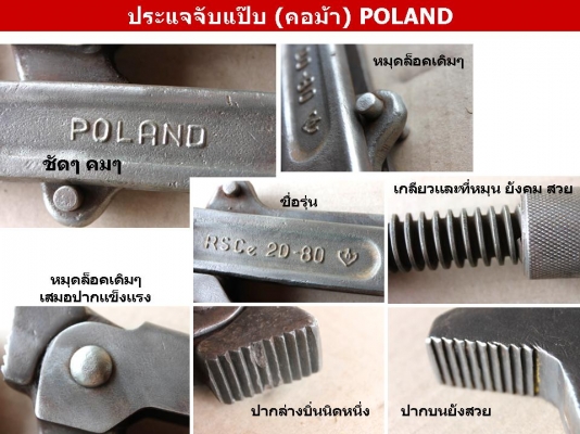 ประแจจับแป๊บ (คอม้า) POLAND3นิ้ว