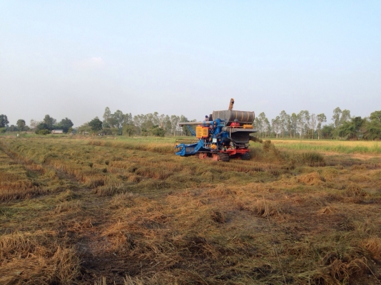 ขายรถเกี่ยวข้าวไทยเจริญสภาพสวย