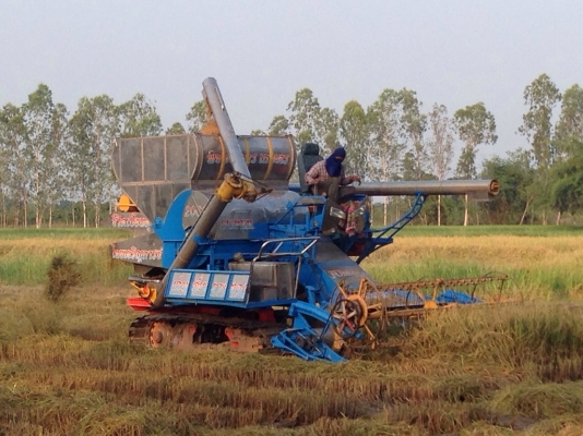 ขายรถเกี่ยวข้าวไทยเจริญสภาพสวย