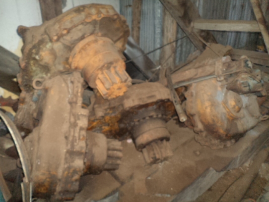 ขายใบแทรกและอะไรอื่นๆ