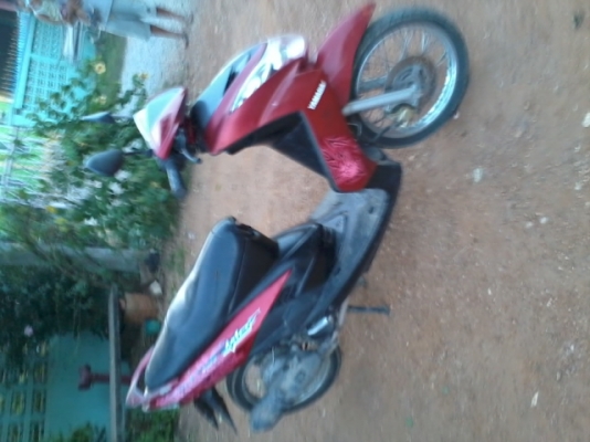 มีโอตัวแรกปี50