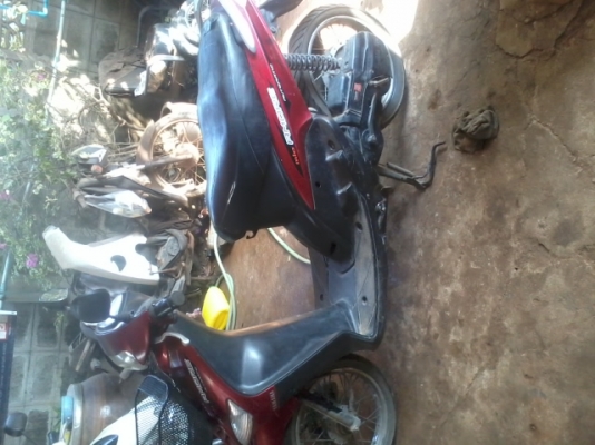 มีโอตัวแรกปี50