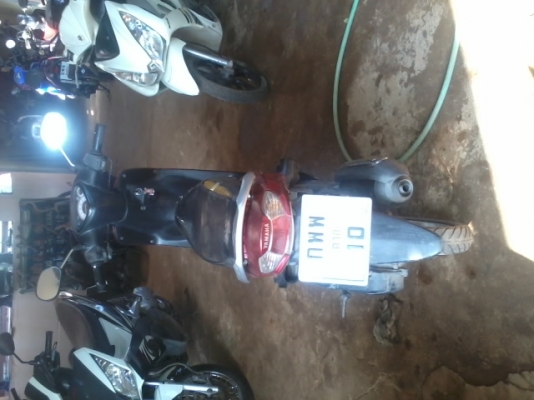 มีโอตัวแรกปี50