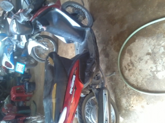 มีโอตัวแรกปี50