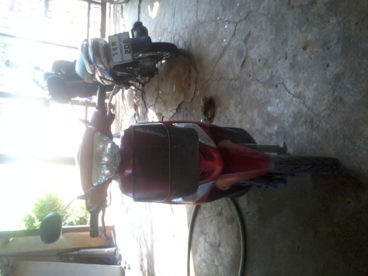 มีโอตัวแรกปี50