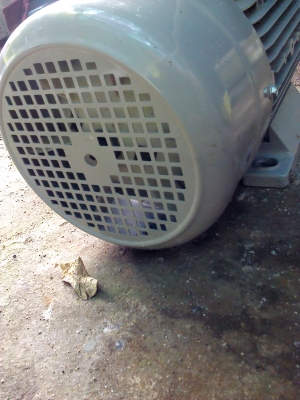 มอเตอร์เยรมัน 3 แรง ยี่ห้อ HASCON สภาพค่อยข้างใหม่มากใช้งานมาน้อยมีพูลเลย์ยึดมาให้ด้วย