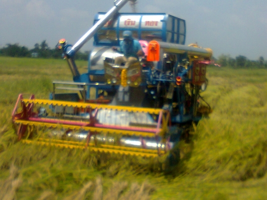 ขายรถเกี่ยวข้าววิชาญการช่าง ขายรถเกี่ยวข้าววิชาญการช่าง