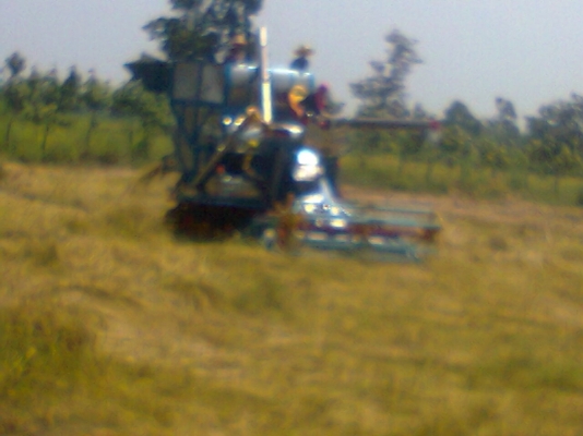 ขายรถเกี่ยวข้าววิชาญการช่าง ขายรถเกี่ยวข้าววิชาญการช่าง