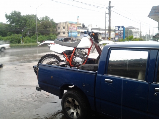 ขาย honda xlr 250 ทะเบียนโอน ขาย honda xlr 250 ทะเบียนโอน