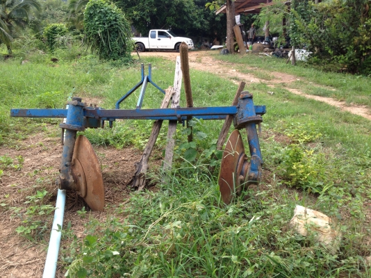 ขายผานยกร่อง