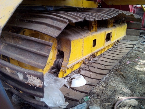 เกษตรพัฒนาปลดหนี้ รองกระสอบ  เทเลอร์หัวยาว