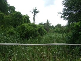 ขายที่ดินย่านวัดเสมียรนารี