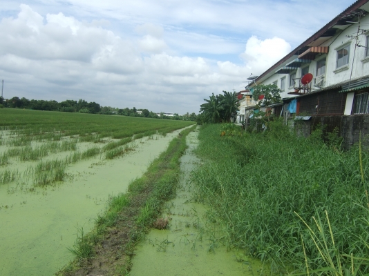 ขายที่ดินออเงิน