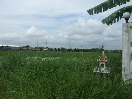 ขายที่ดินออเงิน