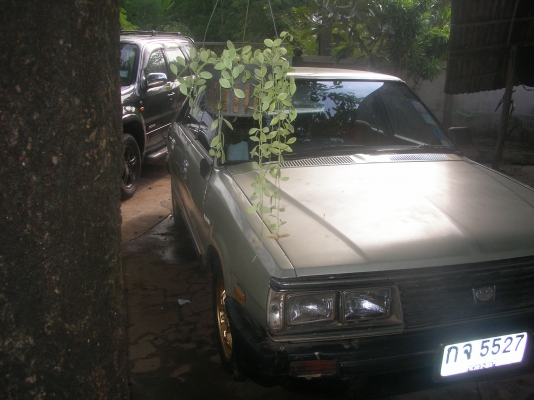 ส่งให้แล้วคุณ นน วังน้อย อยุธยา รอส่งรถ ขอบคุณที่ไว้วางใจ