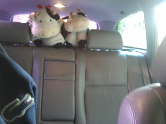 ขอบคุณTruck2handและท่านผู้ซื้อครับ