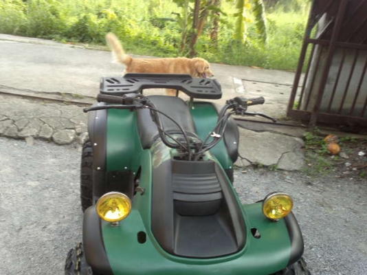 ATV E-TON made in U.S.A.