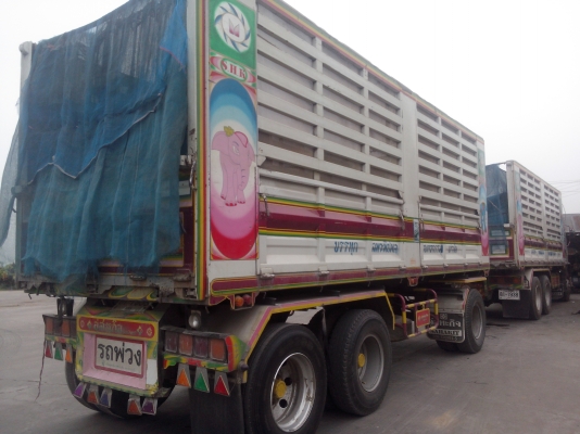 ขายรถอีซุซุเด็กก้า320แม่ลูกสามเพลาดั้มเหล็กอู่สหกิจ