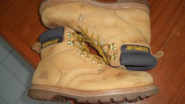 Caterpillar  size 46