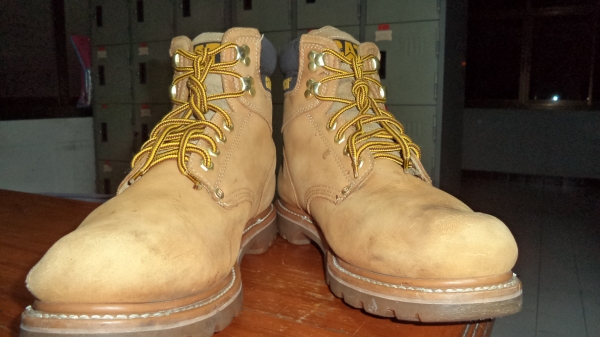 Caterpillar  size 46