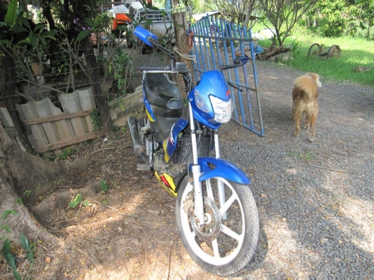 ขายฮอนด้า โซนิค 125 เรือนไมล์สีฟ้า ทะเบียนพร้อมโอน สภาพเดิมๆ 12,000 บาท