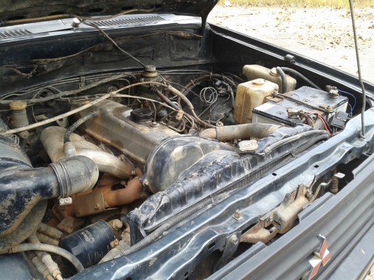 ขายมิตซู ขายมิตซู