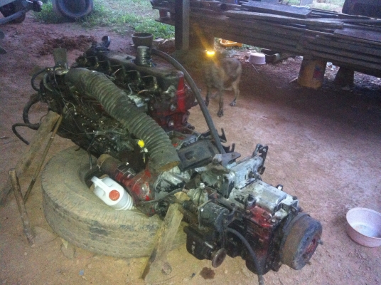 ขายเครื่อง HO7D 195HP