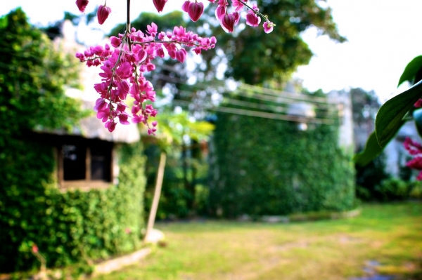 บ้านเงาไม้รีสอร์ท รีสอร์ทเพื่อคนรถจี๊ปและคนรถโบราณ