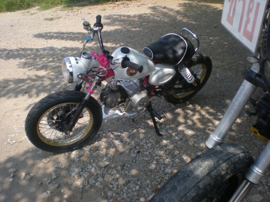 ขาย ลิงน้อย สีสวย