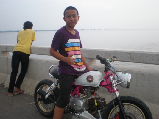 ขาย ลิงน้อย สีสวย