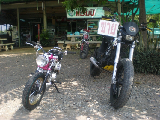 ขาย ลิงน้อย สีสวย