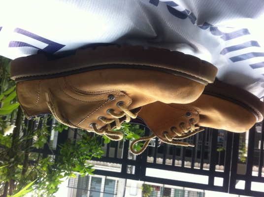 หล่อๆลุยๆครับ tommy 43-44