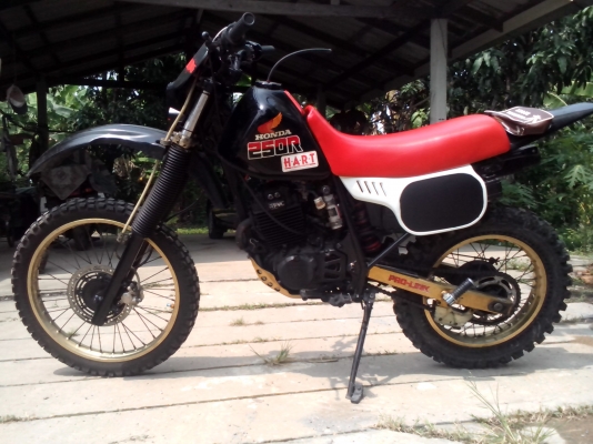 ขอขอบคุณพี่เสือเป็นอย่างสูง ของจริง ขายจริง เจี๊ยบหนองจอก ไม่มีลีลาขอบคุณ จ.ส.อ ประพาส ค๊าฟ