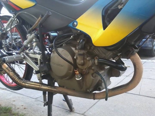 ขาย SONIC ตัวเก่า แต่งหล่อๆ ไม่แพง