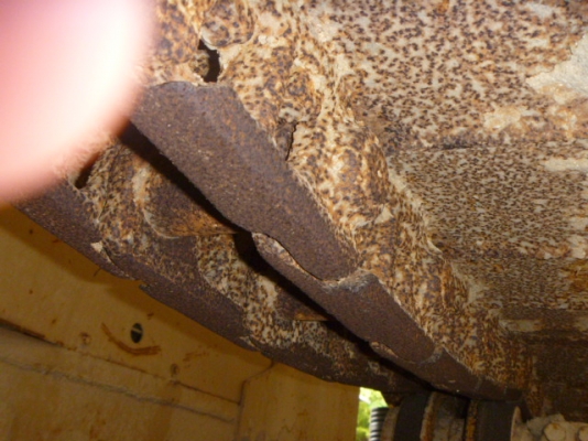 D5B-49X01805-84YR-2661HRSตีนเป็ด+ตีนไก่รถจอดที่นวนครแล้วครับ