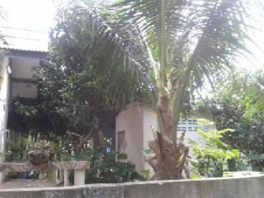 ฝากขาย บ้านเดี่ยว120ตารางวา