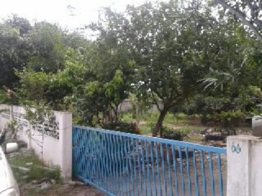 ฝากขาย บ้านเดี่ยว120ตารางวา