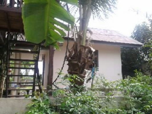 ฝากขาย บ้านเดี่ยว120ตารางวา