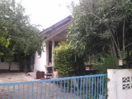 ฝากขาย บ้านเดี่ยว120ตารางวา