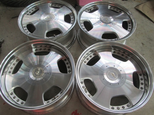 ขายล้อม้าทอง