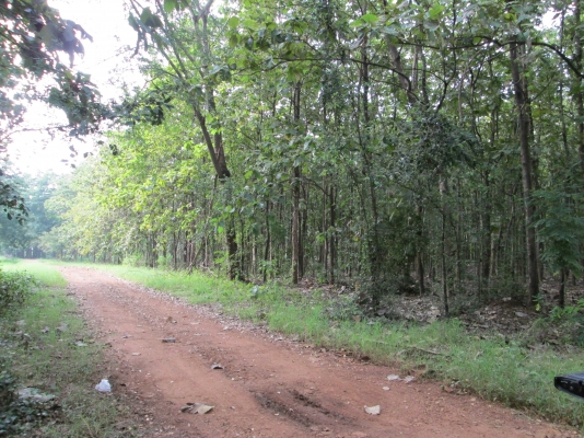 ป่าสัก    รอข้อมูลที่   ชัดเจนก่อนครับ     รอนิดเดียวครับท่านผู้ชม