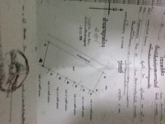 ขายที่1ไร่2งาน14ต.ร.ว อำนาจเจริญ