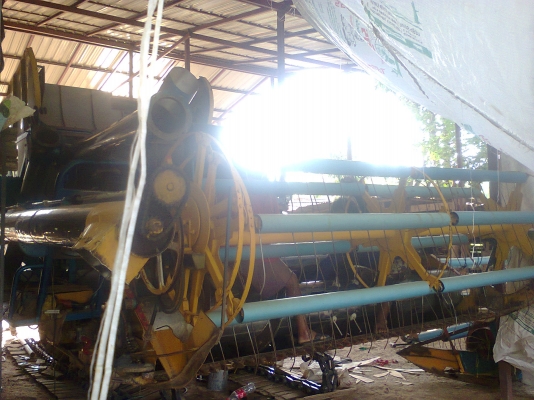 ไทยเส็งบอดี้ศักพัตนา