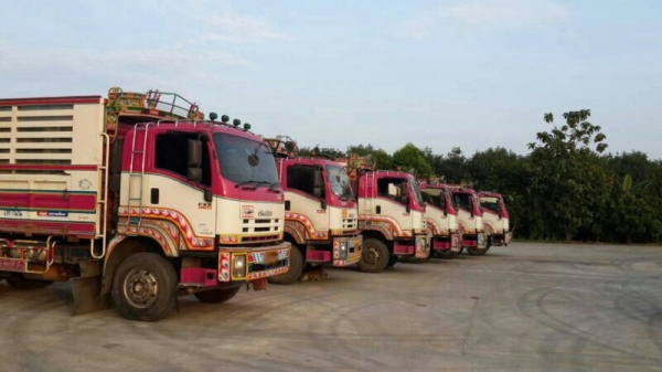 รถอีซูซุ 10 ล้อ ( ไม่ดั้ม )  FXZ 360 แรงม้า ( ปี 52 , 53 )   ( มีขาย 6 พ่วง. )   สนใจติดต่อ 081 - 6079515