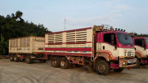 รถอีซูซุ 10 ล้อ ( ไม่ดั้ม )  FXZ 360 แรงม้า ( ปี 52 , 53 )   ( มีขาย 6 พ่วง. )   สนใจติดต่อ 081 - 6079515