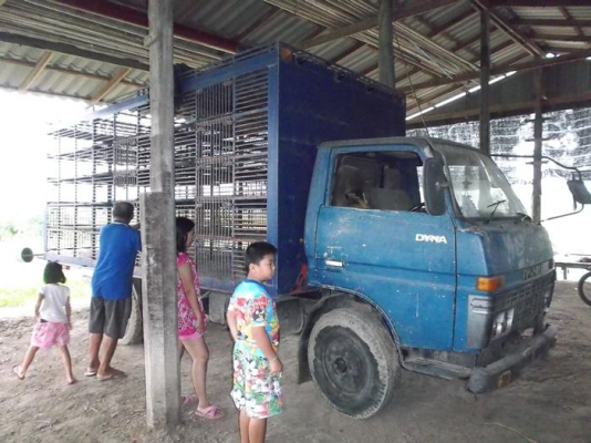 ขาย 6 ล้อ โตโยต้า เครื่อง 115 แรง